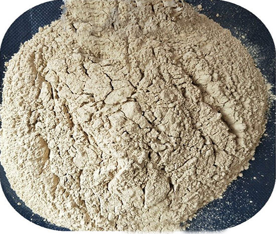 �մ����X�\��