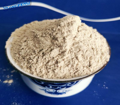 �X�\��/���X���ۏS�҈D